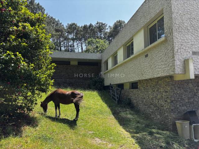 Hippisch vastgoed Koop Morbihan