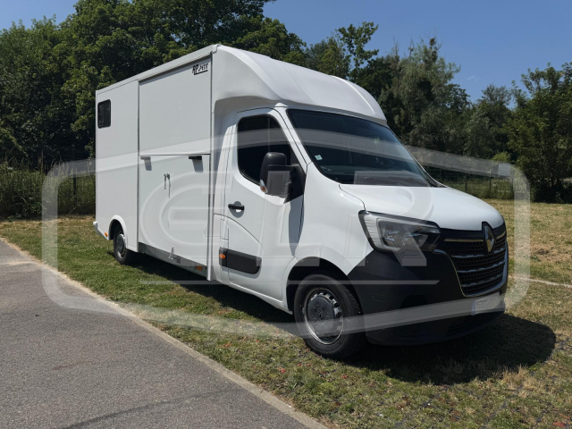 Kleine paardenvrachtwagen (B rijbewijs) AP Petit Renault Master 2020 Tweedehands
