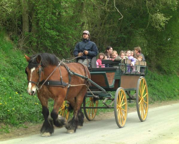 Rijtuigen - Break - Ander merk - Tourisme  