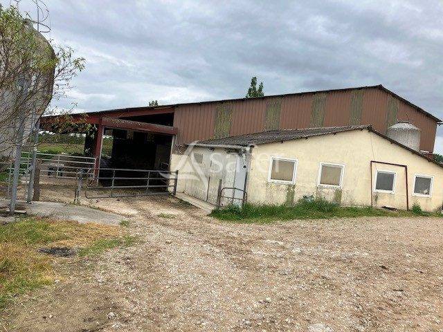 Melk exploitatie Koop Jura