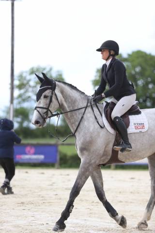 Draagmerrie Selle Français Te koop 2018 Schimmel ,  Clarimo
