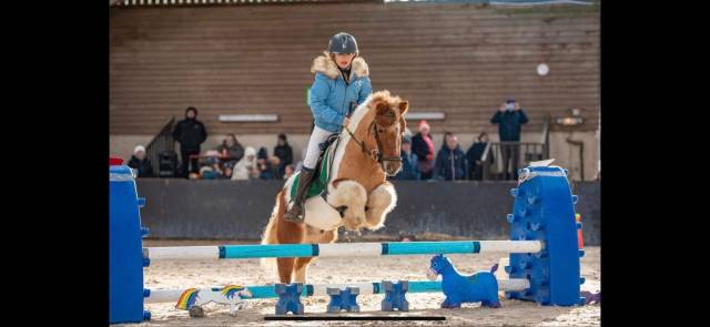 Ruin Shetland Te koop 2012 Bont