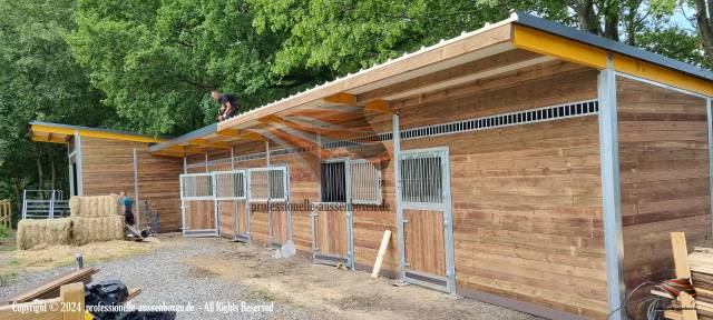 Paardenstal kopen & Buitenstal, Paddockbox, Schuilstal