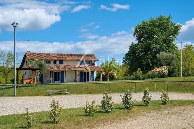 Hippisch vastgoed Koop tarn