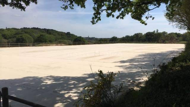 Hippisch vastgoed Koop Morbihan