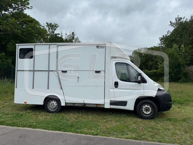Kleine paardenvrachtwagen (B rijbewijs) AP Petit Fiat Ducato 2014 Tweedehands