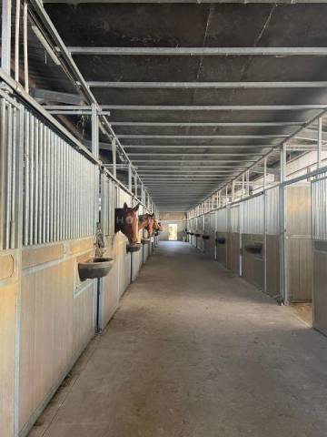 Hippisch vastgoed Koop Morbihan