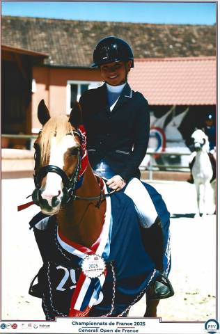 Merrie Welsh Pony (Section B) Te leen 2015 Vos ,  IRAM D' AUDES WB
