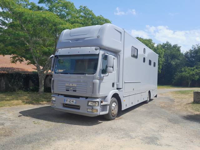 Zware paardenvrachtwagen (groot rijbewijs) Man  2017 Tweedehands