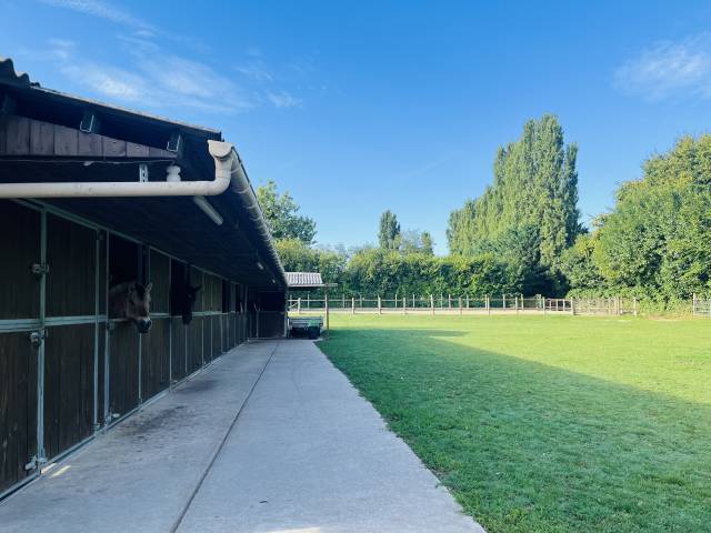 Hippisch vastgoed Koop Seine-et-Marne