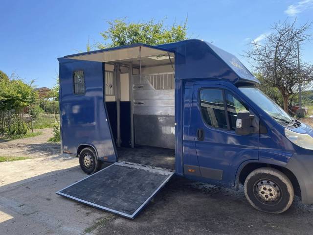 Kleine paardenvrachtwagen (B rijbewijs) MC Guillaume  2011 Tweedehands