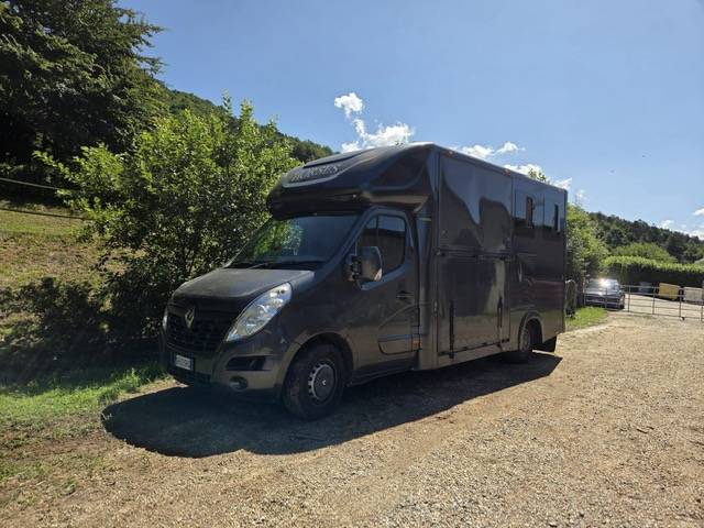 Kleine paardenvrachtwagen (B rijbewijs) Trans Box top line 2015 Tweedehands