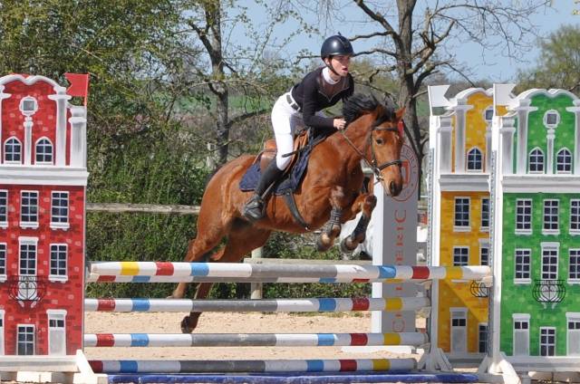 Merrie New Forest Te koop 2021 Donker bruin / bai ,  LENNICHA DE FLORYS, PFS