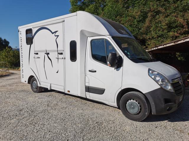 Kleine paardenvrachtwagen (B rijbewijs) Cavalcar opel movano 2020 Tweedehands
