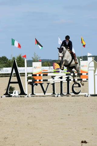 Ruin Zangersheide Te koop 2015 Schimmel ,  LAVILLON