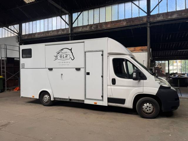 Kleine paardenvrachtwagen (B rijbewijs) AP Petit  2013 Tweedehands