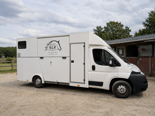 Kleine paardenvrachtwagen (B rijbewijs) AP Petit  2013 Tweedehands