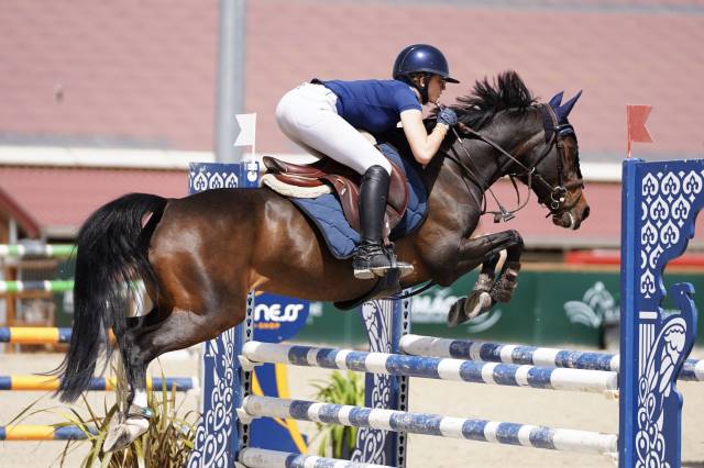 Merrie Duitse rijpony  Te leen 2015 Bruin / Bai