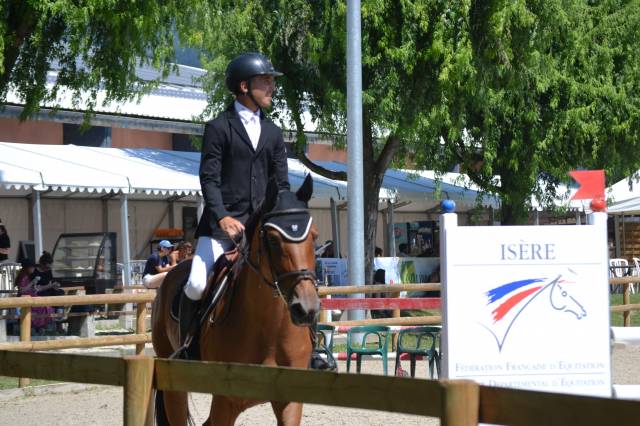 Merrie Selle Français Te koop 2012 Donker bruin / bai ,  EPSOM GESMERAY