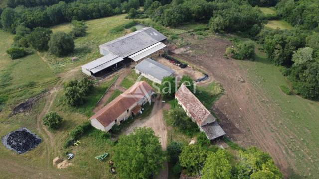 Schapen exploitatie Koop Dordogne