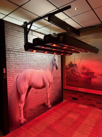 Paarden Solarium 20 infrarood lampen