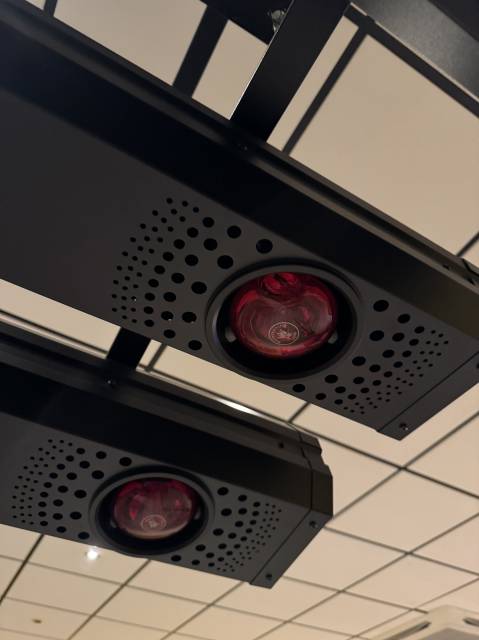 Paarden Solarium 20 infrarood lampen