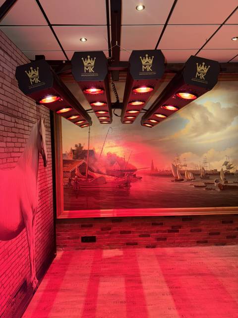 Paarden Solarium 20 infrarood lampen