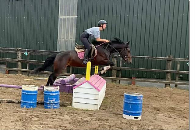 Ruin Connemara Te koop 2021 Schimmel