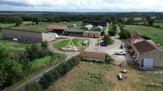 Schapen exploitatie Koop Vienne