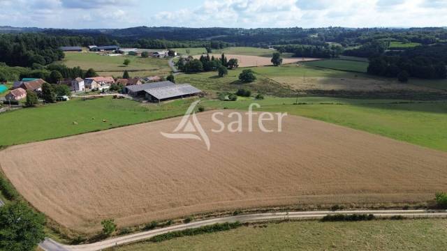 Landbouw bedrijf Koop Haute-Vienne