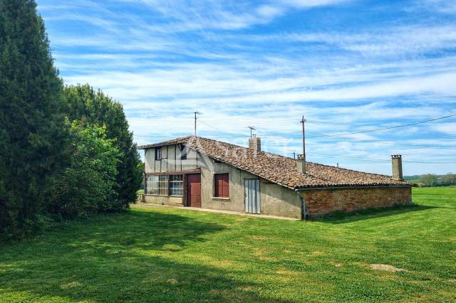 Kippen exploitatie Koop Tarn-et-Garonne