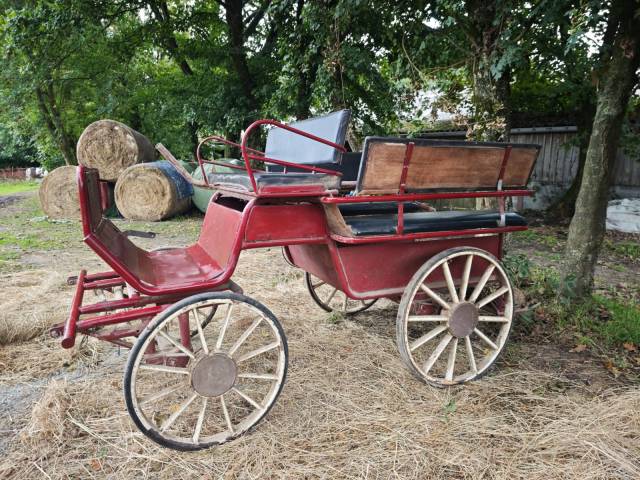 Rijtuigen - Calèche   