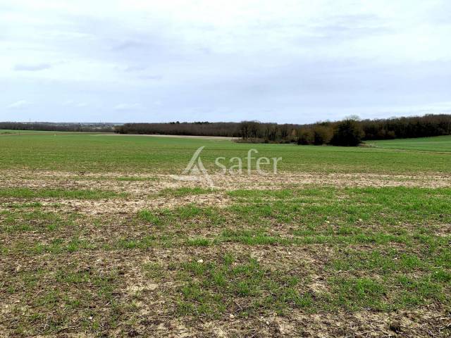 Landbouw bedrijf Koop Indre-et-Loire