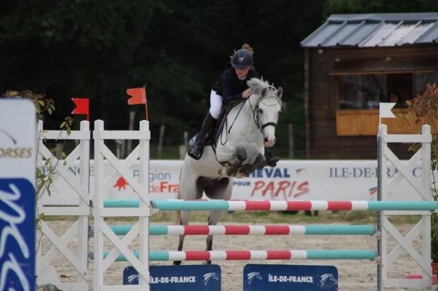 Ruin Franse rijpony PFS Te leen 2011 Schimmel