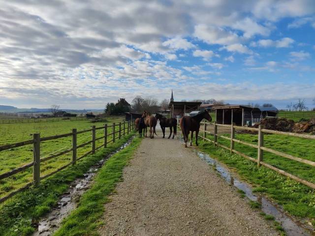 Hippisch vastgoed Koop Haute-Saône