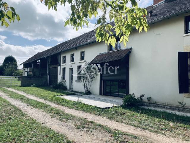 Schapen exploitatie Koop Nièvre