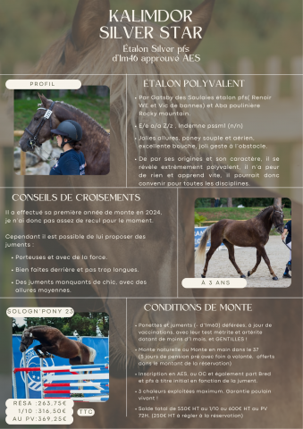 Kalimdor silver star - Franse rijpony PFS 2020 ,  Gatsby des saulaies