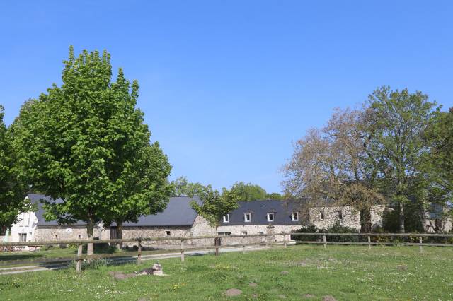 Mooi hippisch vastgoed Koop Manche