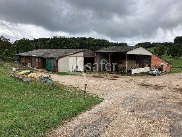 Graan exploitatie Koop Jura