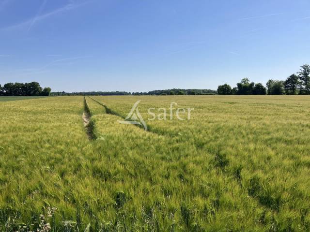 Ander plattelands vastgoed Koop Eure-et-Loir