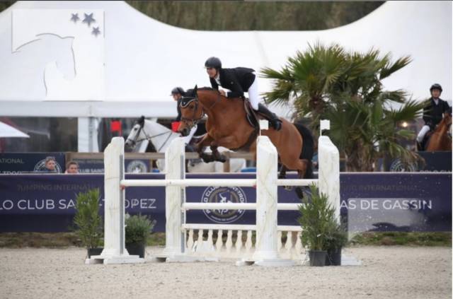 Merrie Selle Français Te koop 2012 Donker bruin / bai ,  EPSOM GESMERAY