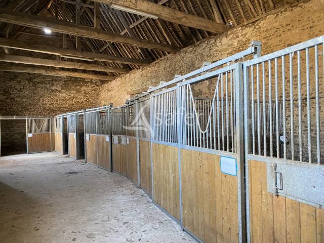 Hippisch vastgoed Koop Orne