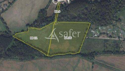 Bos exploitatie Koop Cher