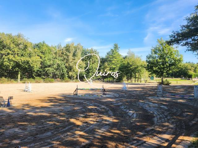 Hippisch vastgoed Koop Loir-et-Cher