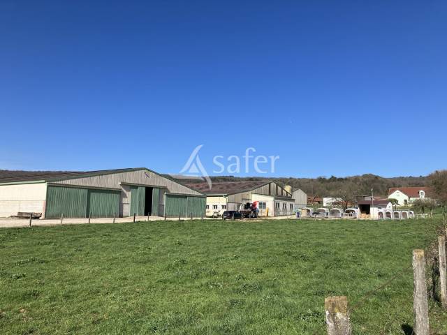 Melk exploitatie Koop Haute-Saône