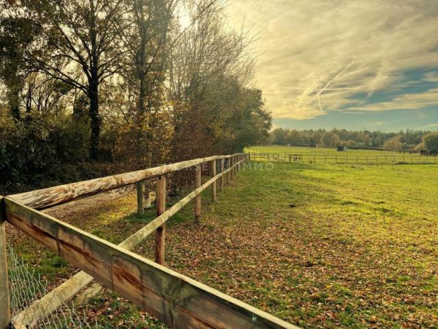 Stoeterij Koop Maine-et-Loire