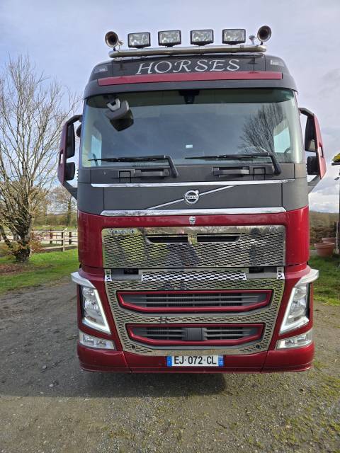 Zware paardenvrachtwagen (groot rijbewijs) Volvo FH 460CH EURO6 2017 Tweedehands