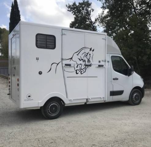 Kleine paardenvrachtwagen (B rijbewijs) Renault Master 2013 Tweedehands