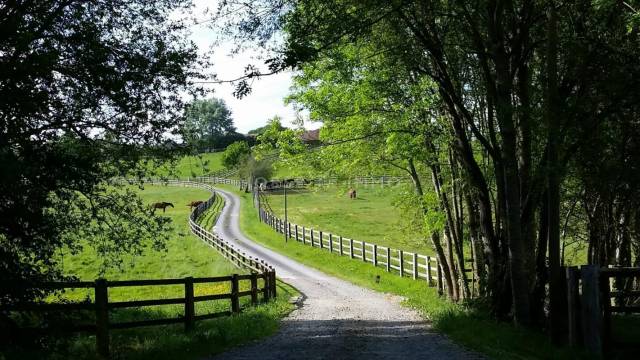 Hippisch vastgoed Koop Orne