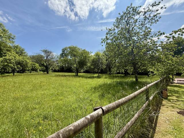 Hippisch vastgoed Koop Calvados